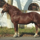 Ruski konj za teški kamion